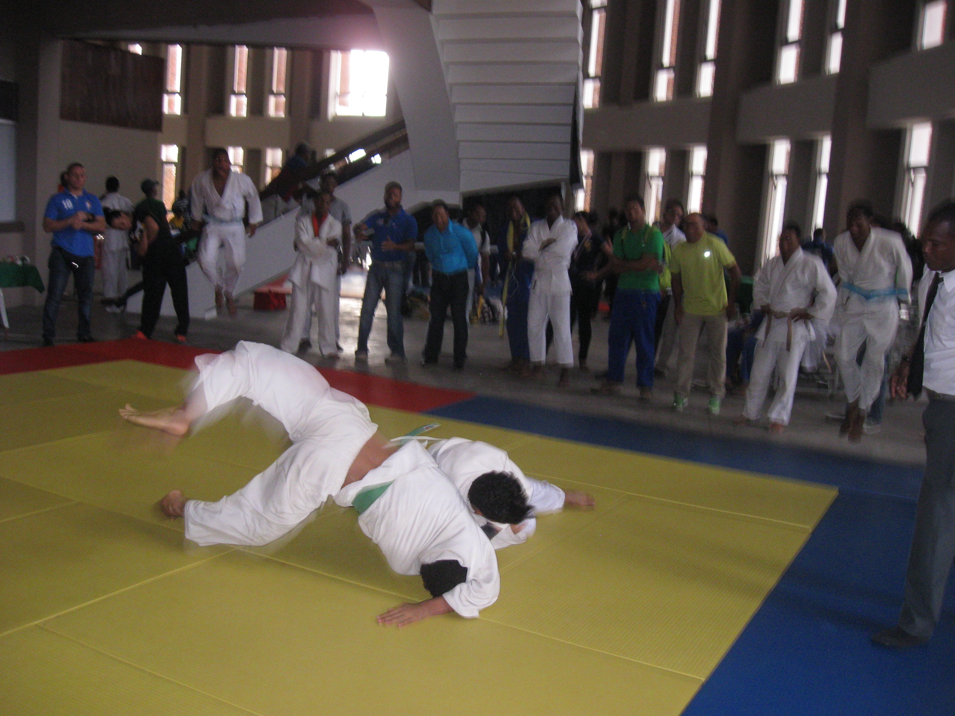 La Universidad APEC –UNAPEC- participó  en el Torneo Nacional de Judo Universitario.