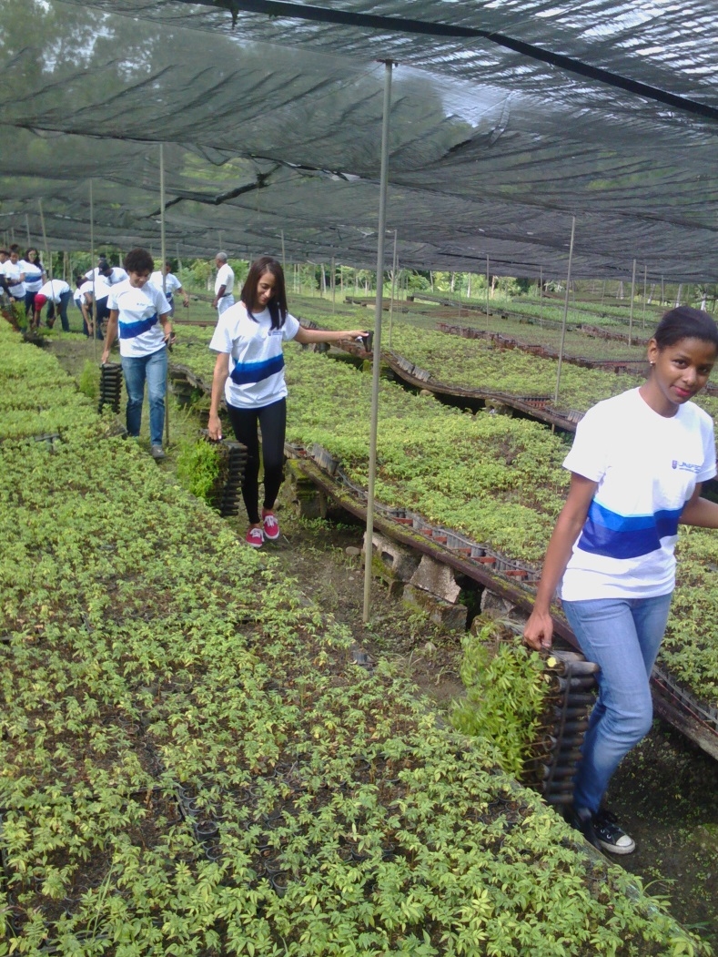 Extrayendo las plantas del segundo nivel