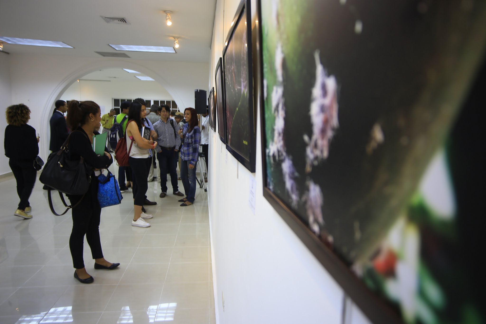 Las fotografías son expuestas en el Salón de Exposiciones Temporales de UNAPEC